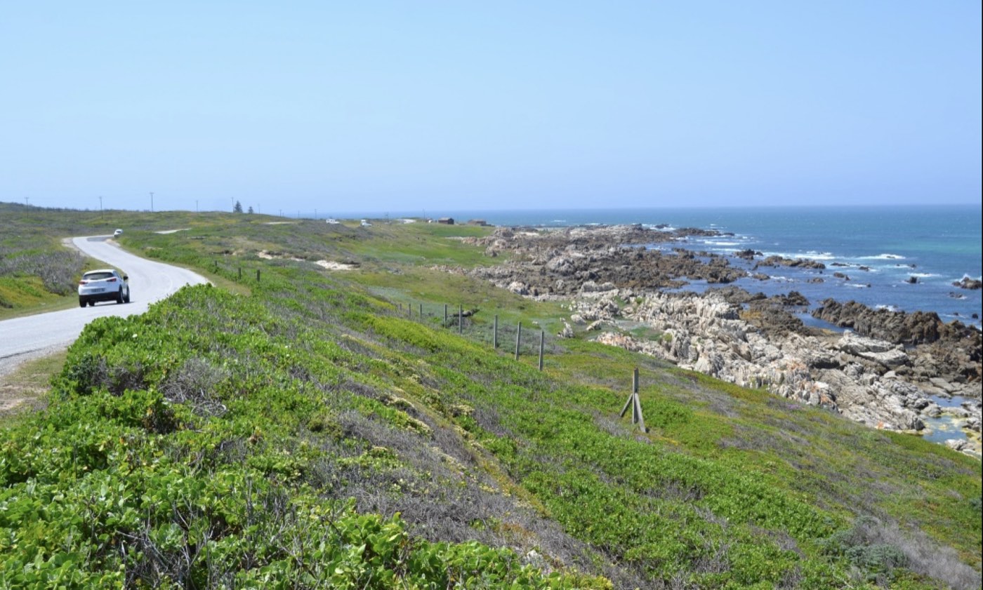The coastal road along Marine Drive, Port Elizabeth, with rocky shoreline and ocean views.